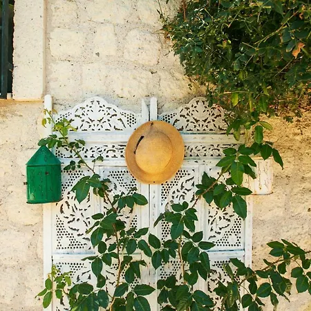 Otel Albatross