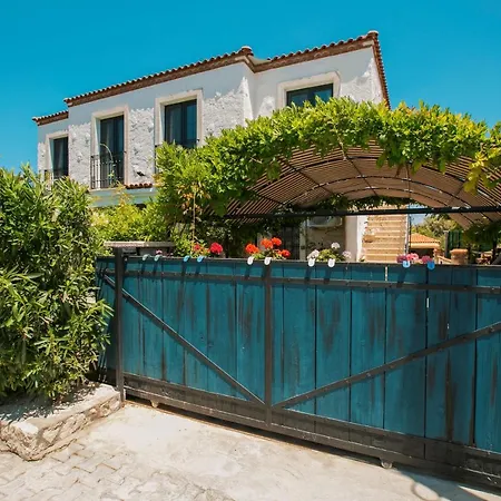 מלון Albatross *