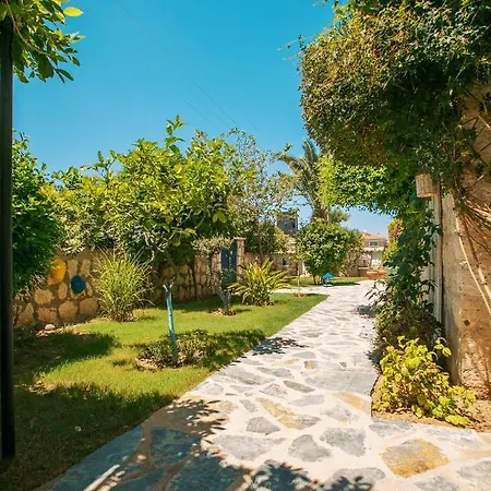 מלון Albatross *